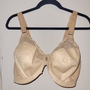 Elomi Plunge Bra - Carmen Style